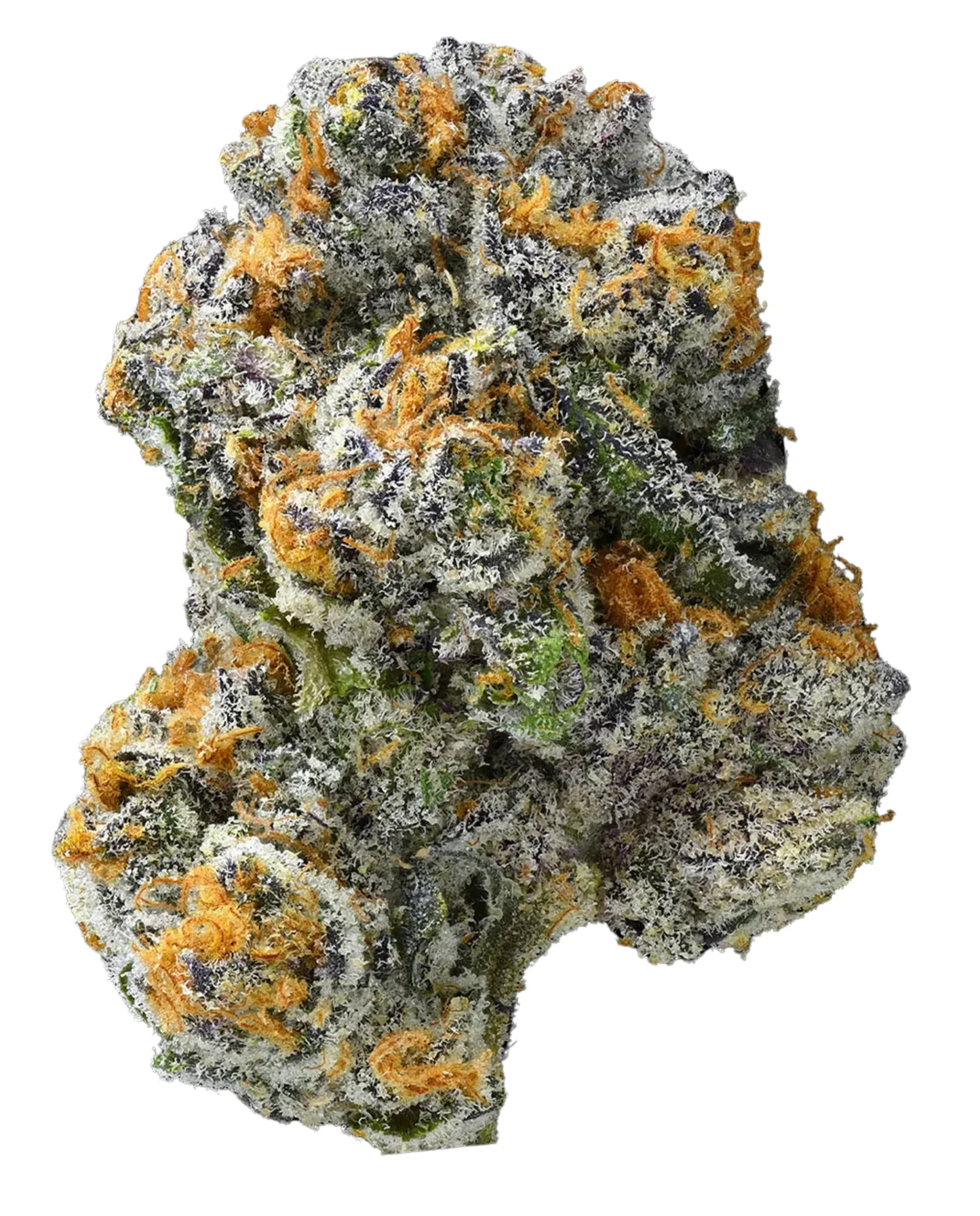 Premium-THCa-Blüte Cherry Gelato Kaufen