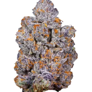 Premium THCa Flower Biscotti Kaufen